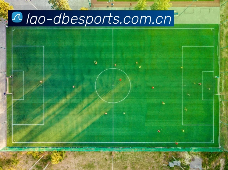 DB电竞中国官网欧冠直播